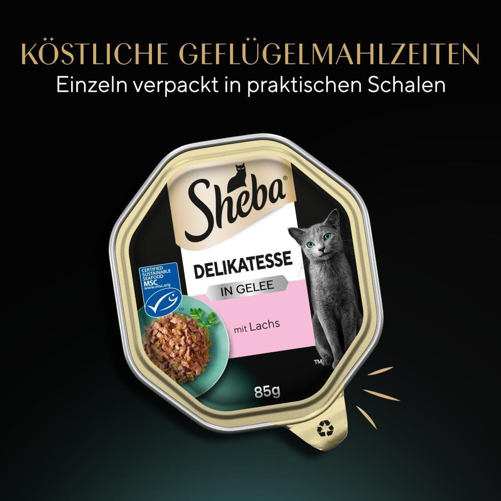 Sheba Nourriture humide pour chat, Délicatesse en gelée de saumon, 2 x 11 x 85 g