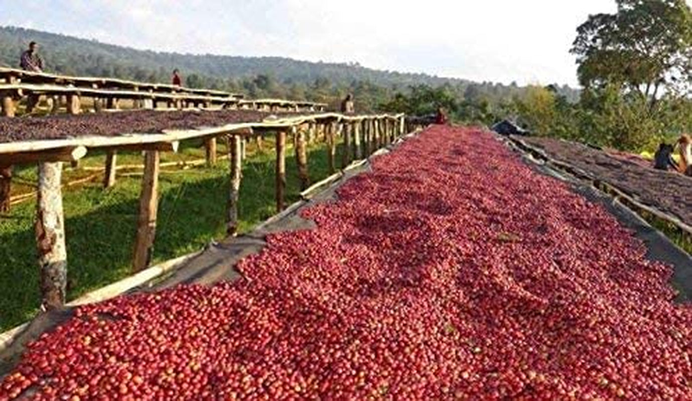Café en grains décaféiné 1 kg naturel 100% - Espresso Goût intense de Colombie et du Brésil.