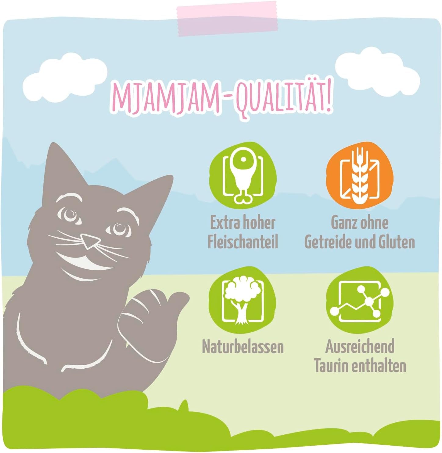 MjAMjAM - Nourriture humide de qualité supérieure pour chats - Paquet de 6 poulet juteux et saumon sauvage (6 x 400 g) sans céréales avec viande supplémentaire
