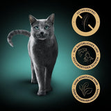 SHEBA Nature's Collection in Gravy - Nourriture humide pour chats de haute qualité, variété fine (MSC) en sachets portionnés - 72 x 85 g