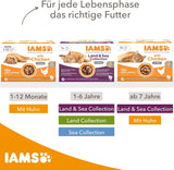 IAMS Delights Sea Collection Katzenfutter Nass - Multipack mit Fisch Sorten (Lachs, Thunfisch, Maquereau, Seefisch) en Sauce, Nassfutter für Katzen à partir de 1 janvier, 12 x 85g