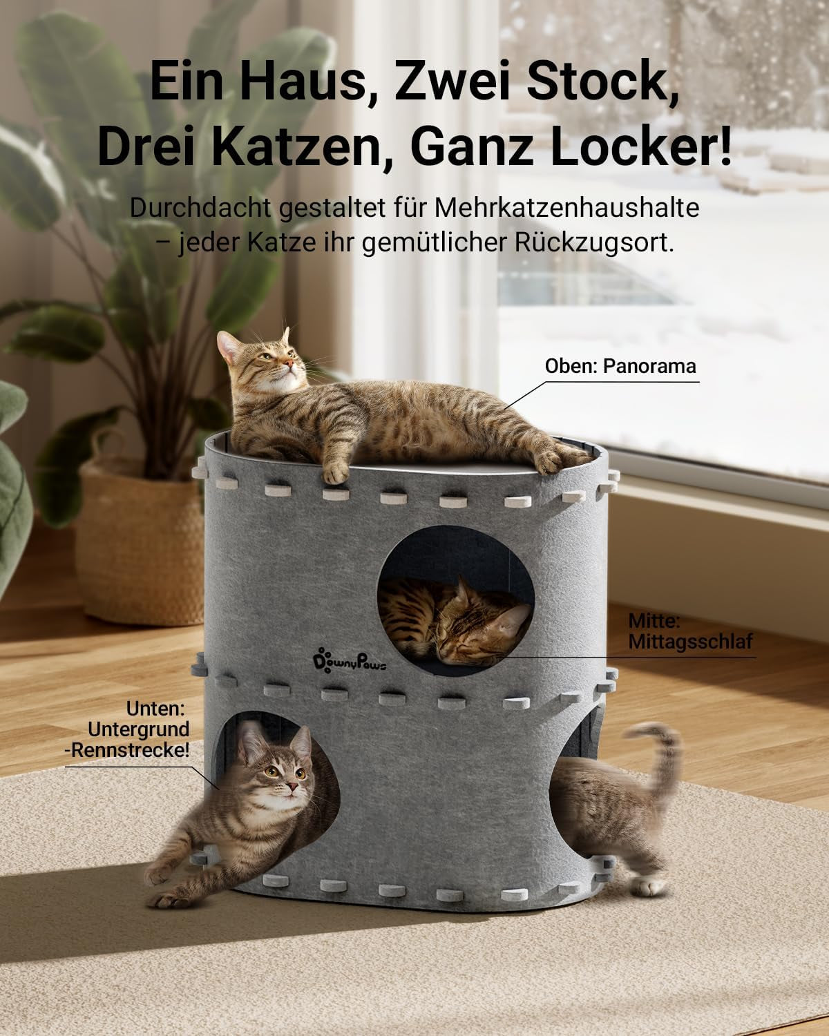 Couvertures et meubles, Animaux, Grottes et maisons, Chats, Lits pour chats, Chats - lits, matelas