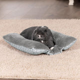 Lits, couvertures et meubles, animaux, chats, lits pour chats, Chats - lits, matelas