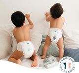 BIOLANE - Couches courtes - Taille 5 (12-18 kg) - étanchéité 12 heures - pack 1 mois - 120 couches - écologique