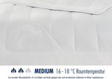 Couette Irisette camel - Fabriquée en Allemagne - Mono, couette toutes saisons, couette poil de chameau pour la transition, 155 X 220 Cm, certifiée Oeko-Tex Quilts et quilts Naty Shop
