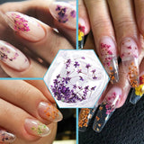 EYVRPAU 6 pièces Nail Art Fleurs Set Décoration, Gelnägel Zubehör 6 Farben, Nail Art Aufkleber Trockene Blumen Kit Getrocknete Blumen Zubehör Set DIY Nageldekoration