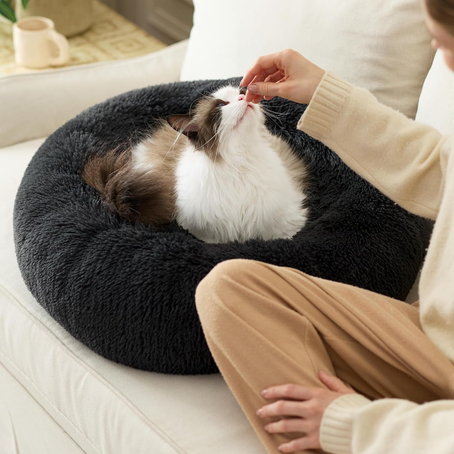 Lits, couvertures et meubles, animaux, chats, lits pour chats, Chats - lits, matelas