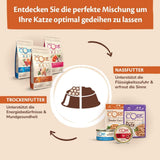 Wellness CORE 98% 12 x 85g, Poulet et Saumon - Nourriture humide pour chats, pâté épais, sans céréales, naturelle, hypoallergénique, riche en protéines, riche en viande