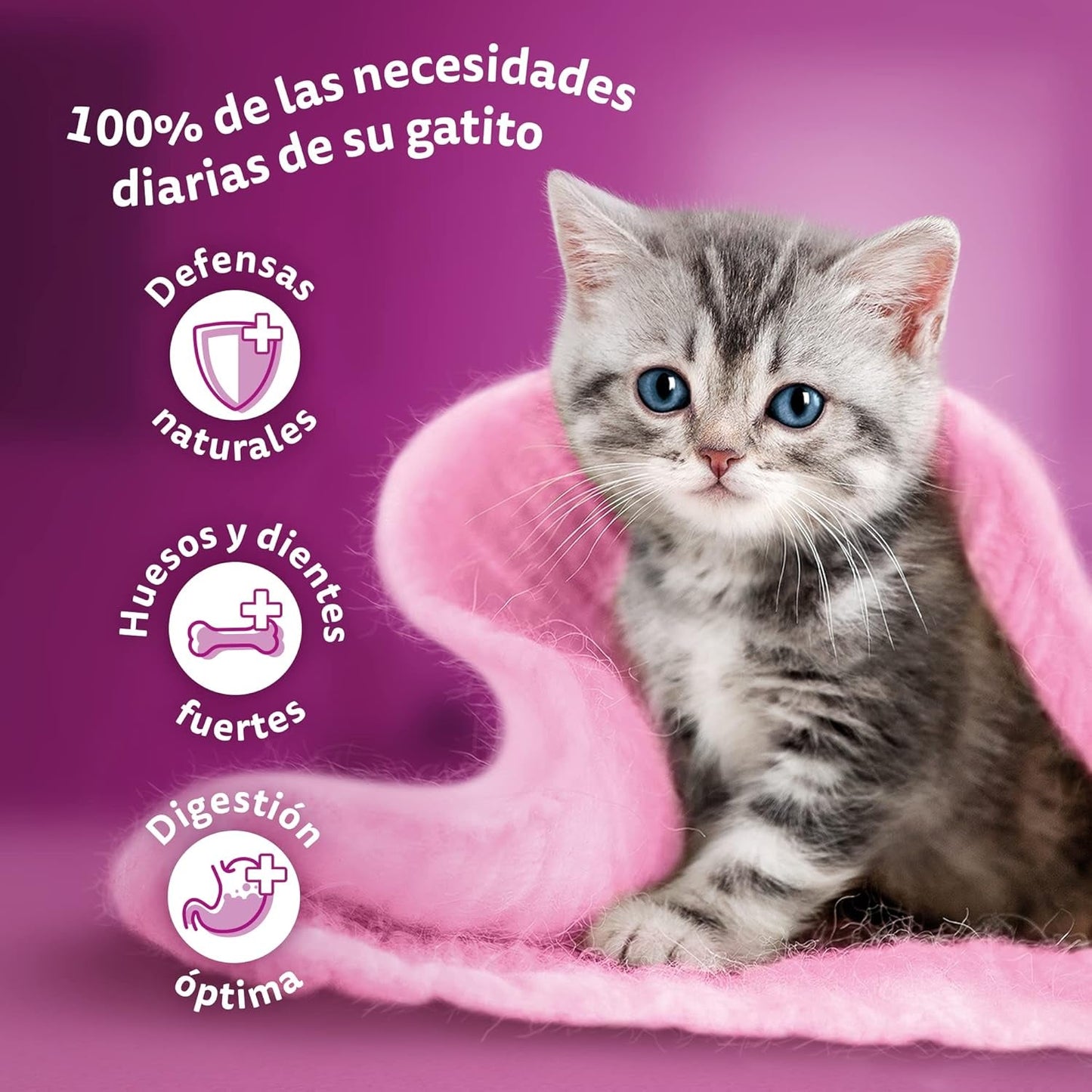 Whiskas Junior Classic nourriture humide pour chat, 13 x 4 x 85 g