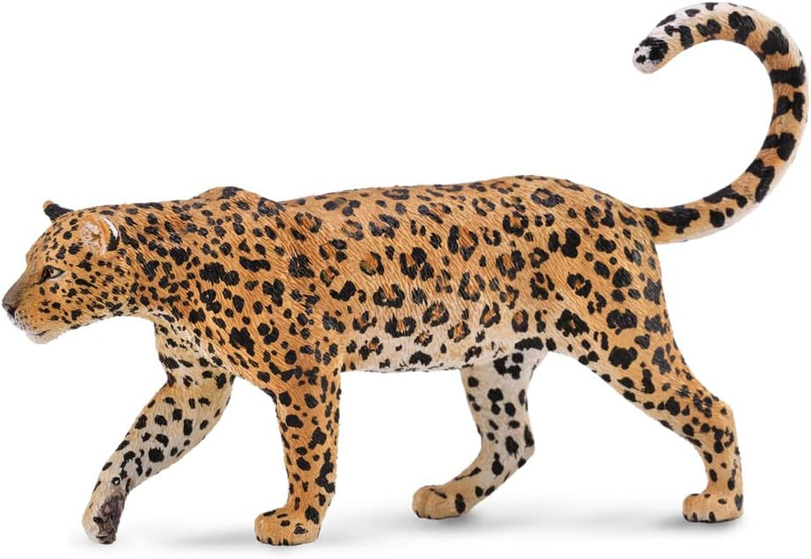 Collecta - Léopard d'Afrique (88866) Figurines Naty Shop Titre par défaut