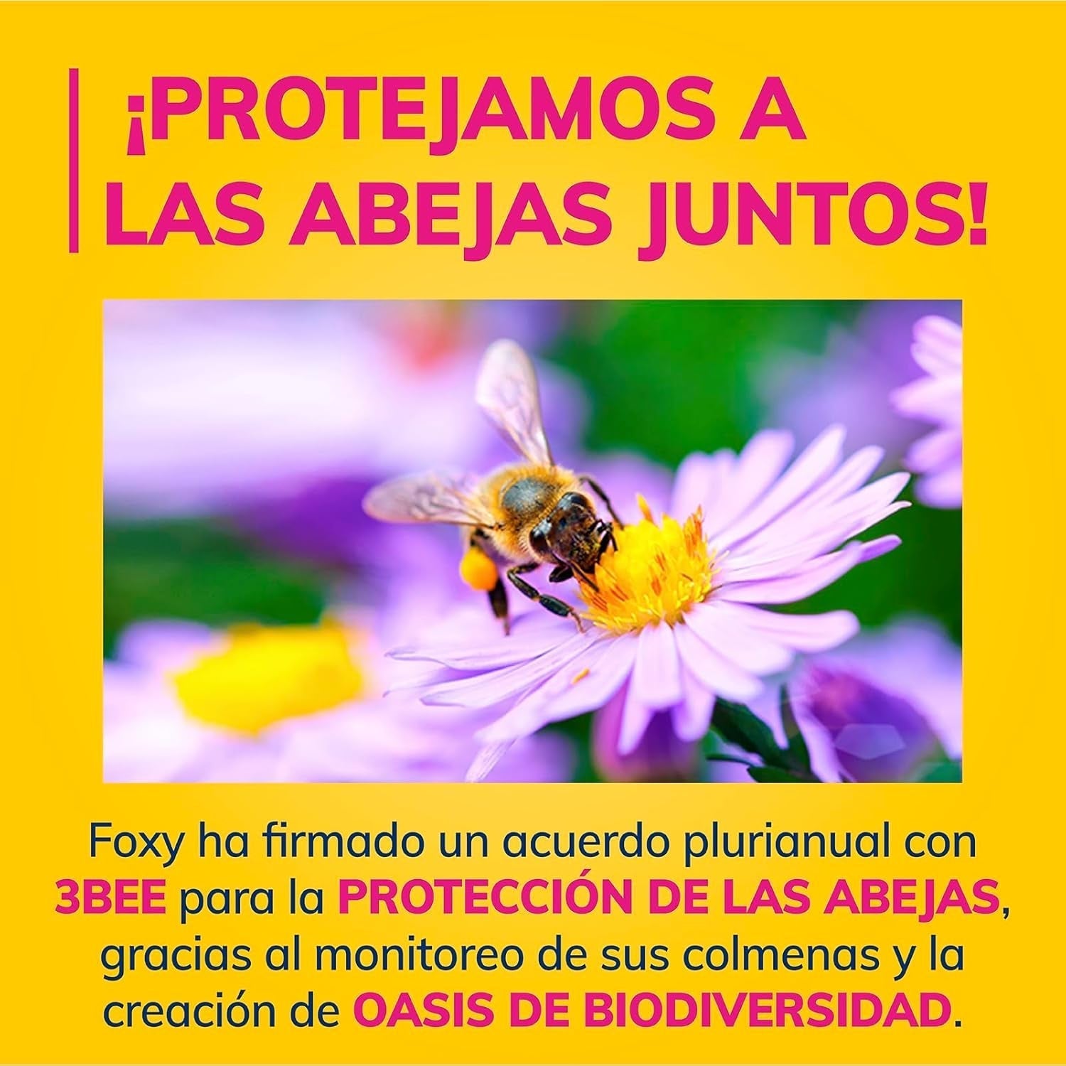J’aime l’abeille | Papier toilette 3 épaisseurs | 48 rouleaux | 167 services au programme | Certificat Fsc | Électricité 100% renouvelable | Emballage recyclable fabriqué à partir de plastique recyclé