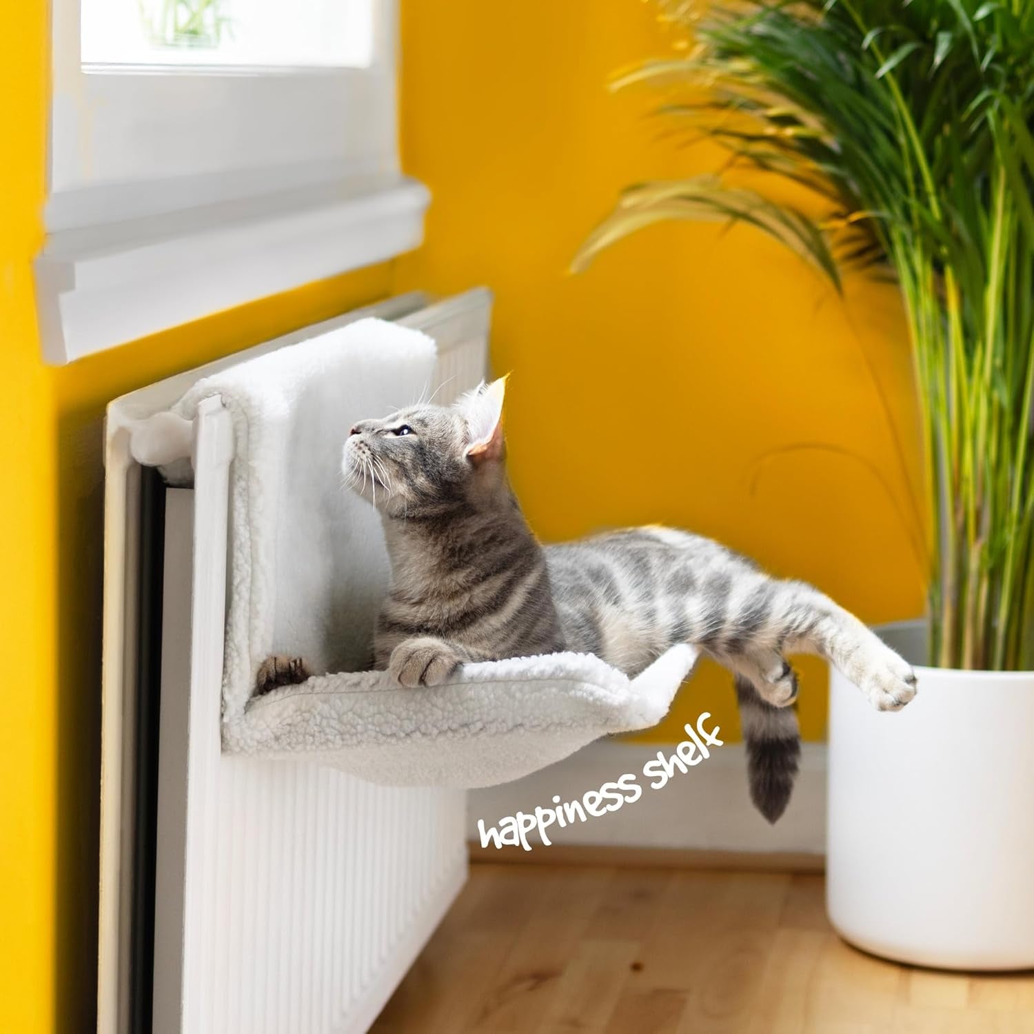 Lits et Canapés, Couvertures et Meubles, Animaux, Chats, Lits pour chats, Chats - lits, matelas