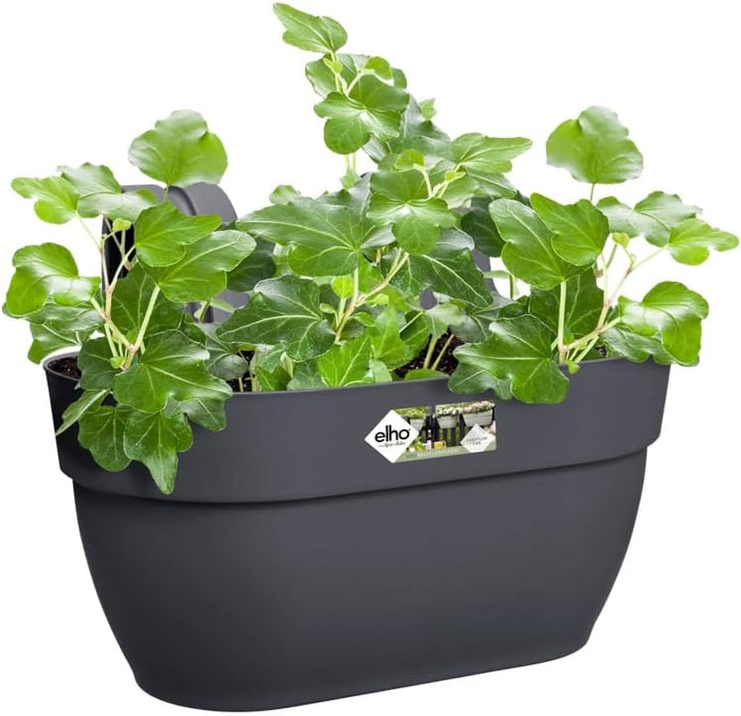 elho Vibia Campana Easy Hanger M 36 - Pot pour balcon et extérieur - Ø 36,0 x H 26,5 cm - Noir/Anthracite