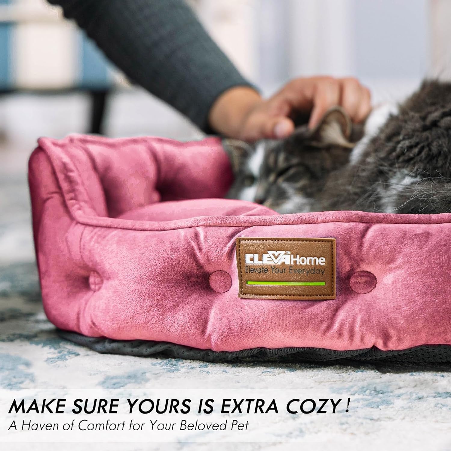 Lits et Canapés, Couvertures et Meubles, Animaux, Chats, Lits pour chats, Chats - lits, matelas