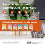 Wellness CORE Tender Cuts 6 x 85g, Chicken Selection Mix - Nourriture humide pour chats, morceaux tendres en sauce, sans céréales, naturelle, hypoallergénique, riche en protéines, haute teneur en viande
