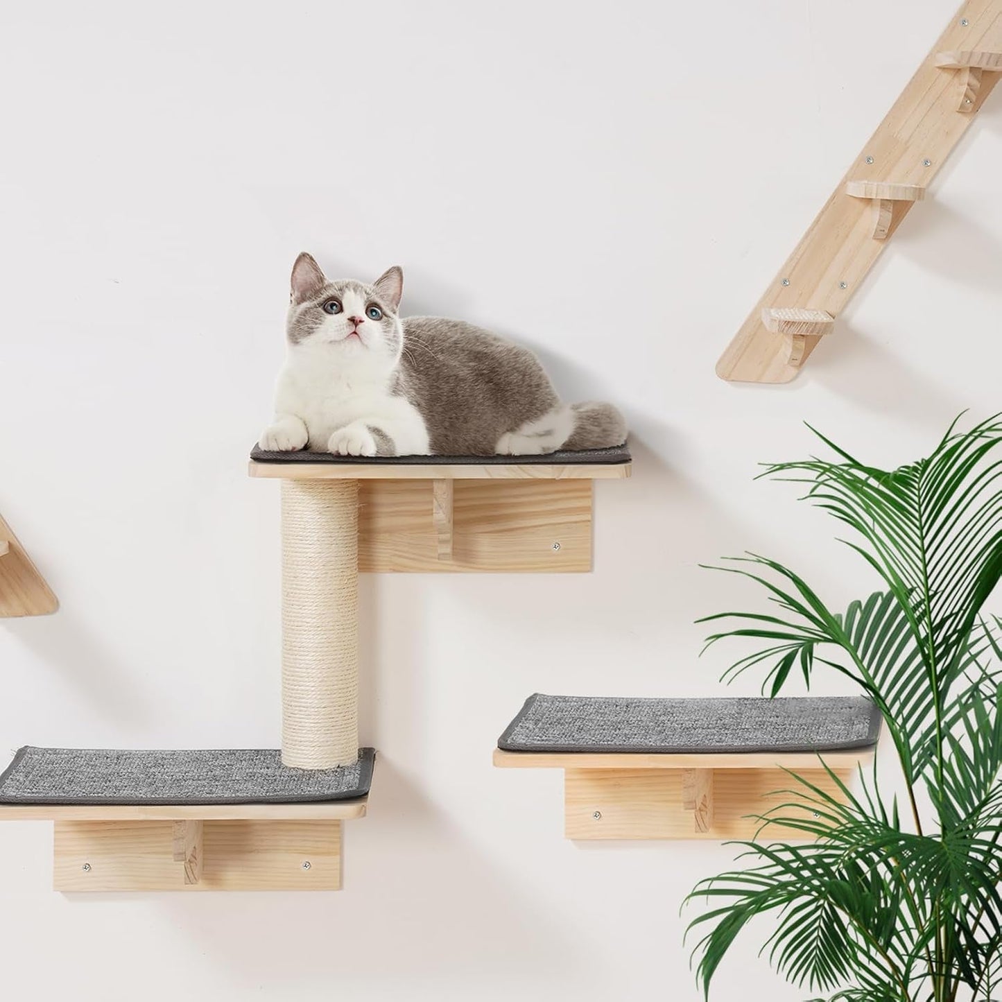 Couvertures et meubles, Animaux, Chats, Lits pour chats, Chats - lits, matelas