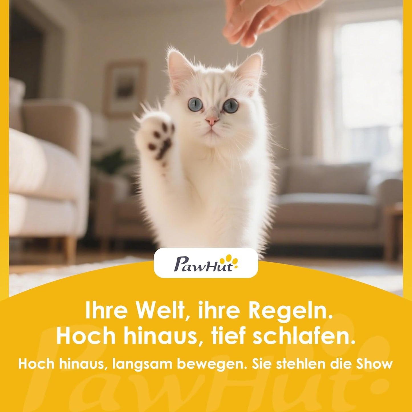 Lits et Canapés, Couvertures et Meubles, Animaux, Chats, Lits pour chats, Chats - lits, matelas