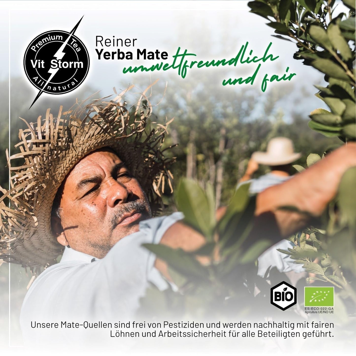VITSTORM® Slim Tea Cardamome – Thé BIO Yerba Mate – Thé détox et diurétique – 100G