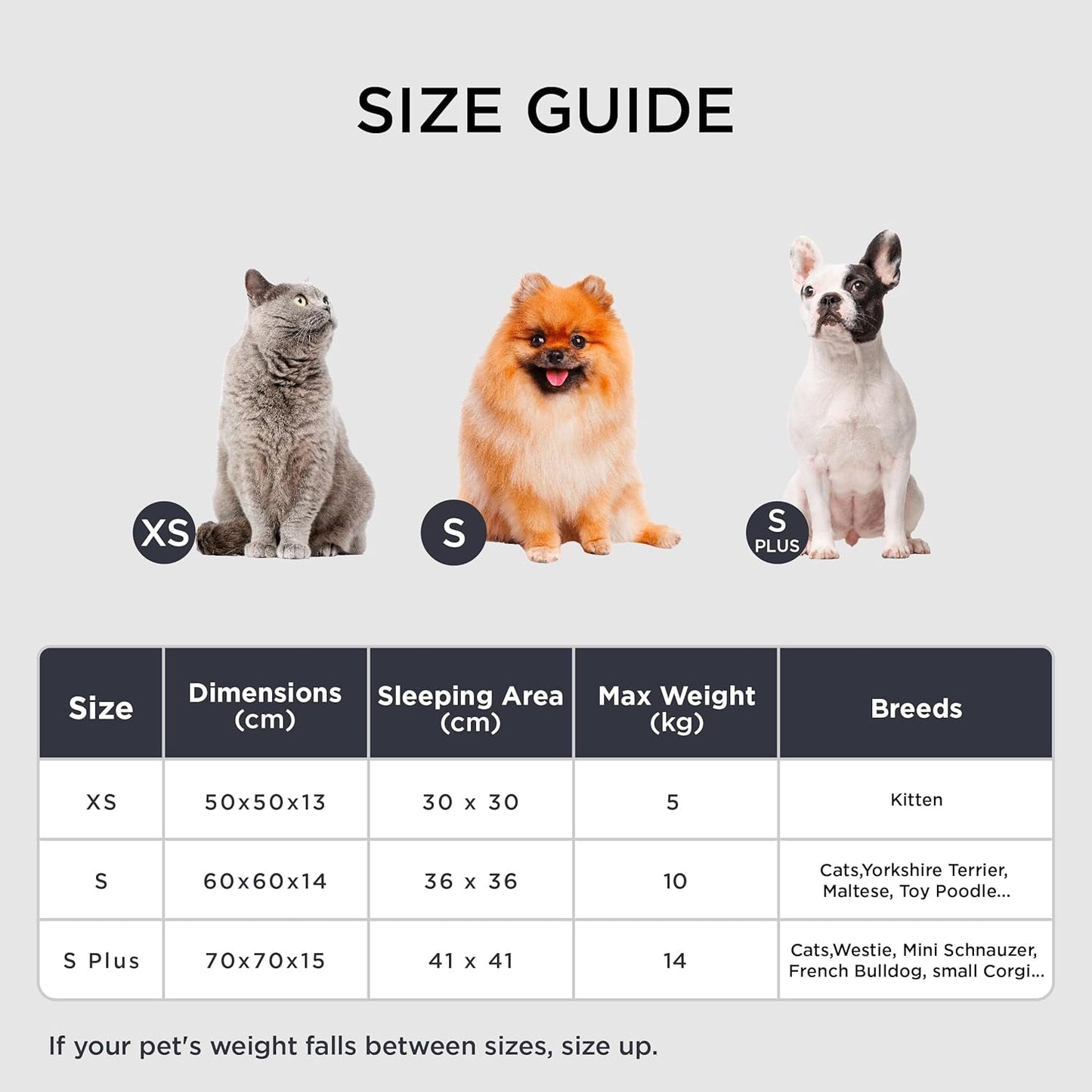 Lits, couvertures et meubles, animaux, chats, lits pour chats, Chats - lits, matelas