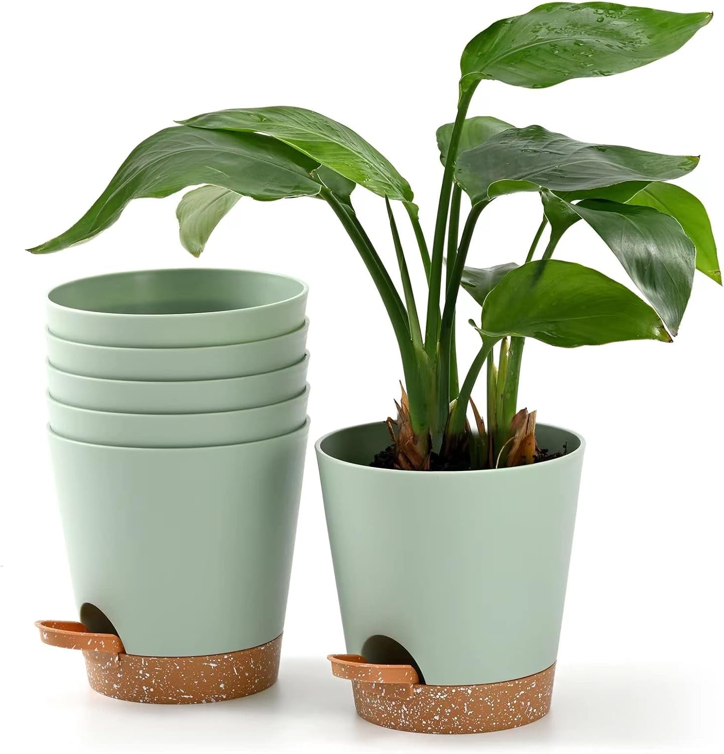 Pot de Fleur 6 Pièces 12,7 cm Jardinière à Arrosage Automatique Pot de Fleur intérieur extérieur à Drainage élevé avec Plateau de réservoir et Bord d'arrosage Jardinière de Jardin Jardin