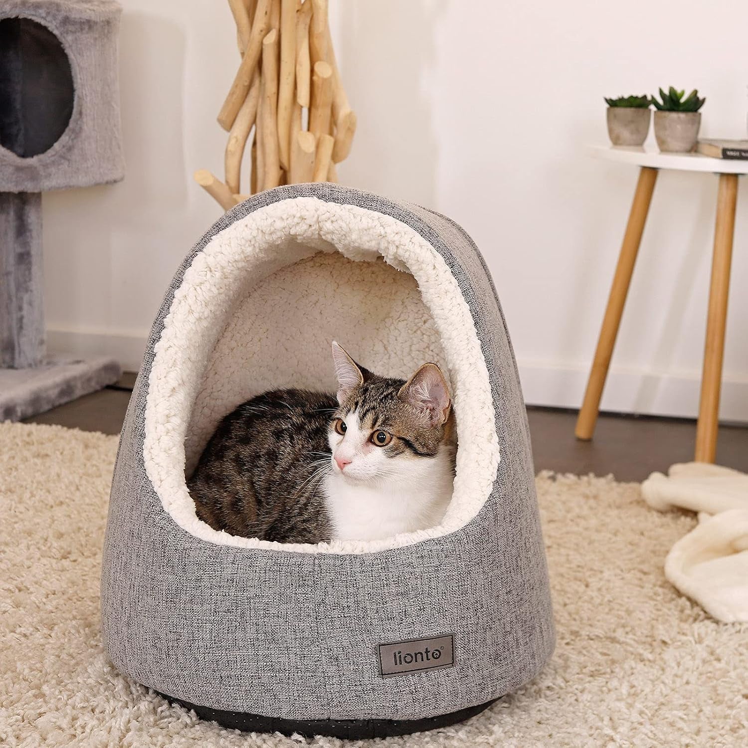 Couvertures et meubles, Animaux, Grottes et maisons, Chats, Lits pour chats, Chats - lits, matelas