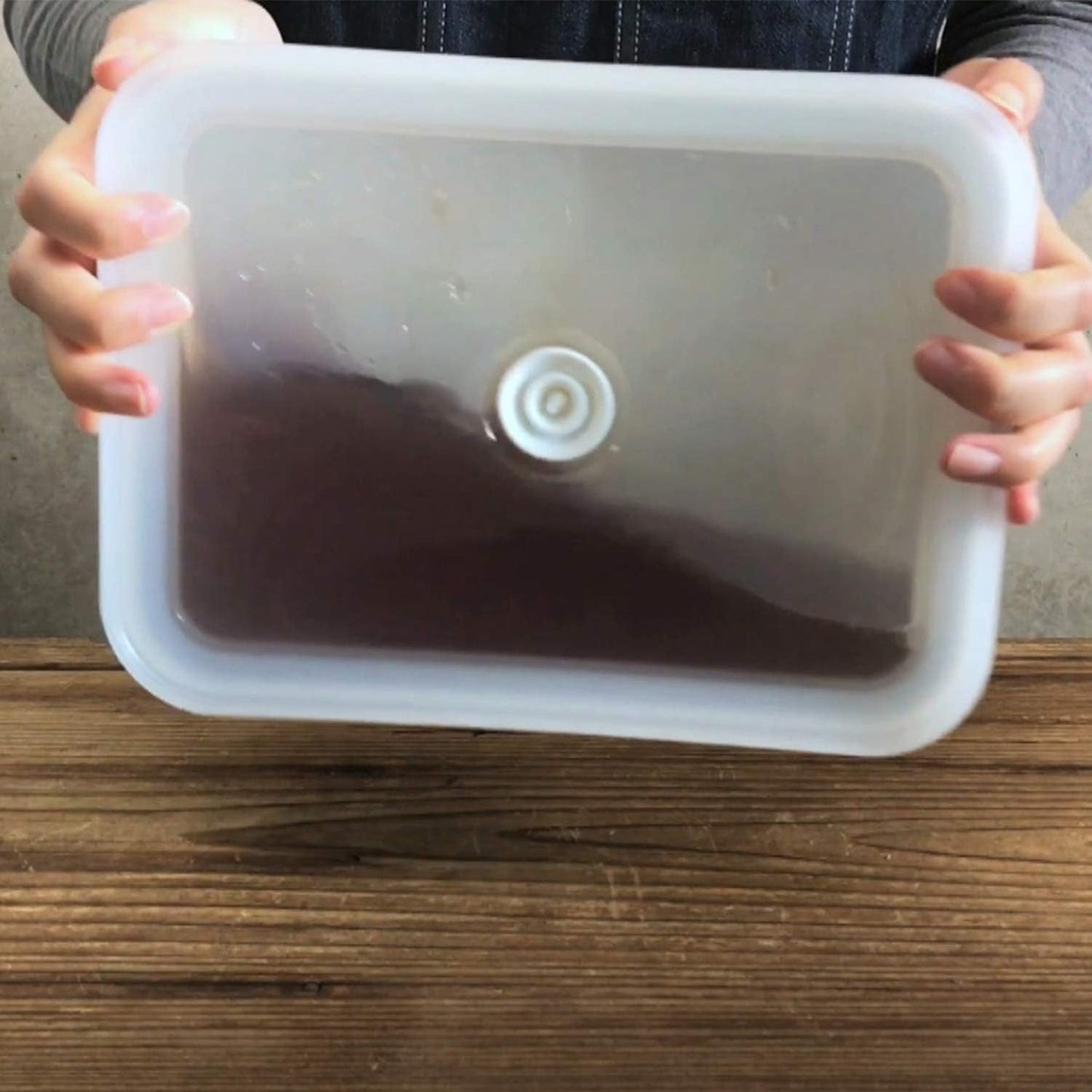 Boîte de conservation sous vide émaillée | XL| 1,85L | 23,5 x 17,5 x 7 cm | garde les aliments frais beaucoup plus longtemps | protège les aliments contre les bactéries et les infestations fongiques | sans pompe à vide Boîtes de conservation alimentaire Naty Shop