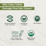 Coloration capillaire en gel naturel sans dommages Indus Valley | Sans ammoniaque, végétalien et sans cruauté | Jusqu'à 100 % de couverture des gris, résultats longue durée | Châtain clair 5.0 (20 grammes + 200 ml) Coloration capillaire Naty Shop