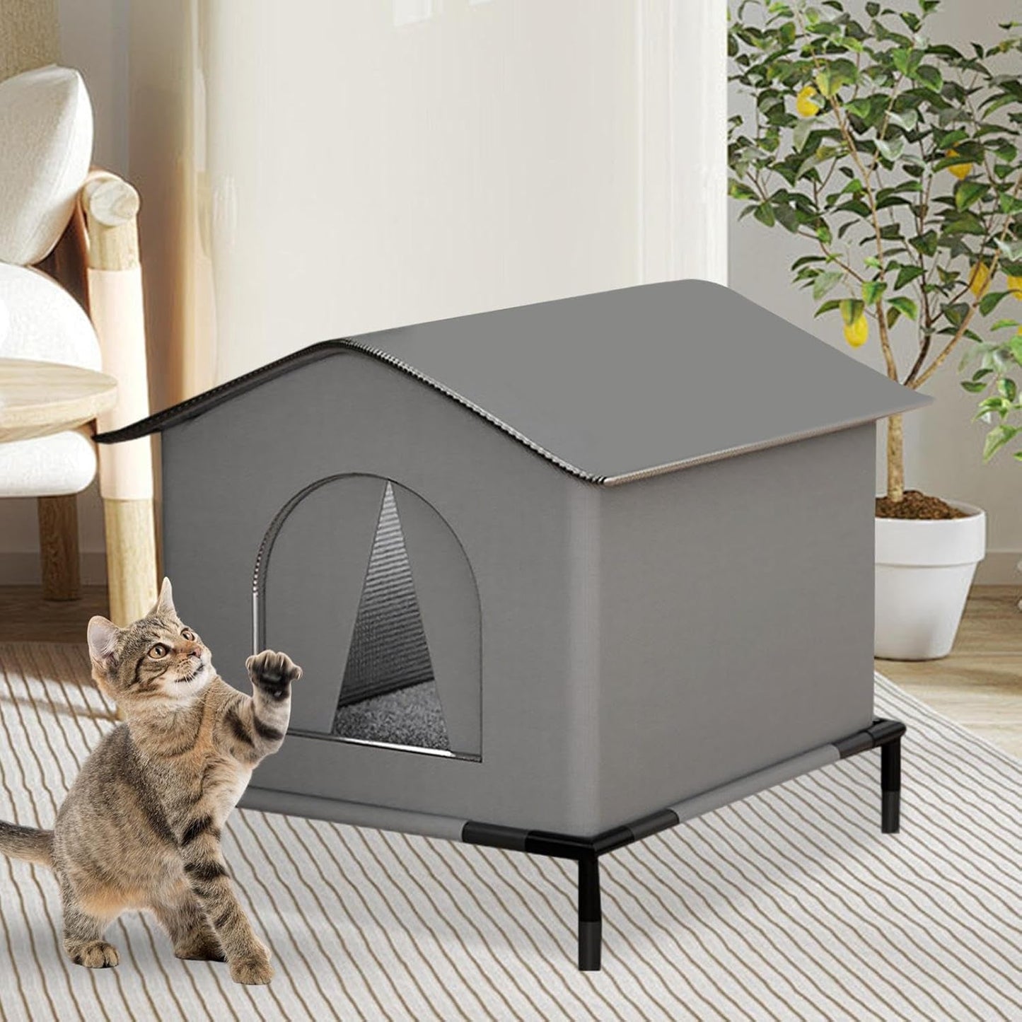 Couvertures et meubles, Animaux, Grottes et maisons, Chats, Lits pour chats, Chats - lits, matelas