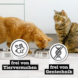 Catz Finefood Purrrr Collection I - Nourriture humide monoprotéinée pour chats - Sans céréales, sans sucre, hypoallergénique - Haute teneur en viande - Multipack de nourriture humide pour chats - En sachets, 85 g (12 paquets)