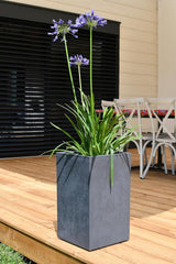 Pot de Fleur Basalt'Up, Carré, Haut, 36 L, Aspect Béton, Mur Uni, Réservoir d'Eau, 29,5 x 29,5 x 49,5 cm, Gris Anthracite