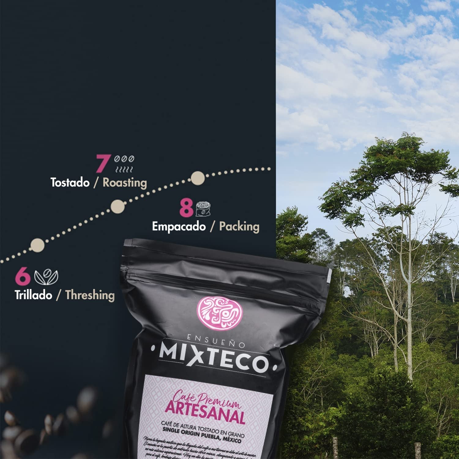 Grains de café Arabica torréfiés | 500 g aux notes de cacao et d'amandes | D'un torréfacteur traditionnel | Goût délicat