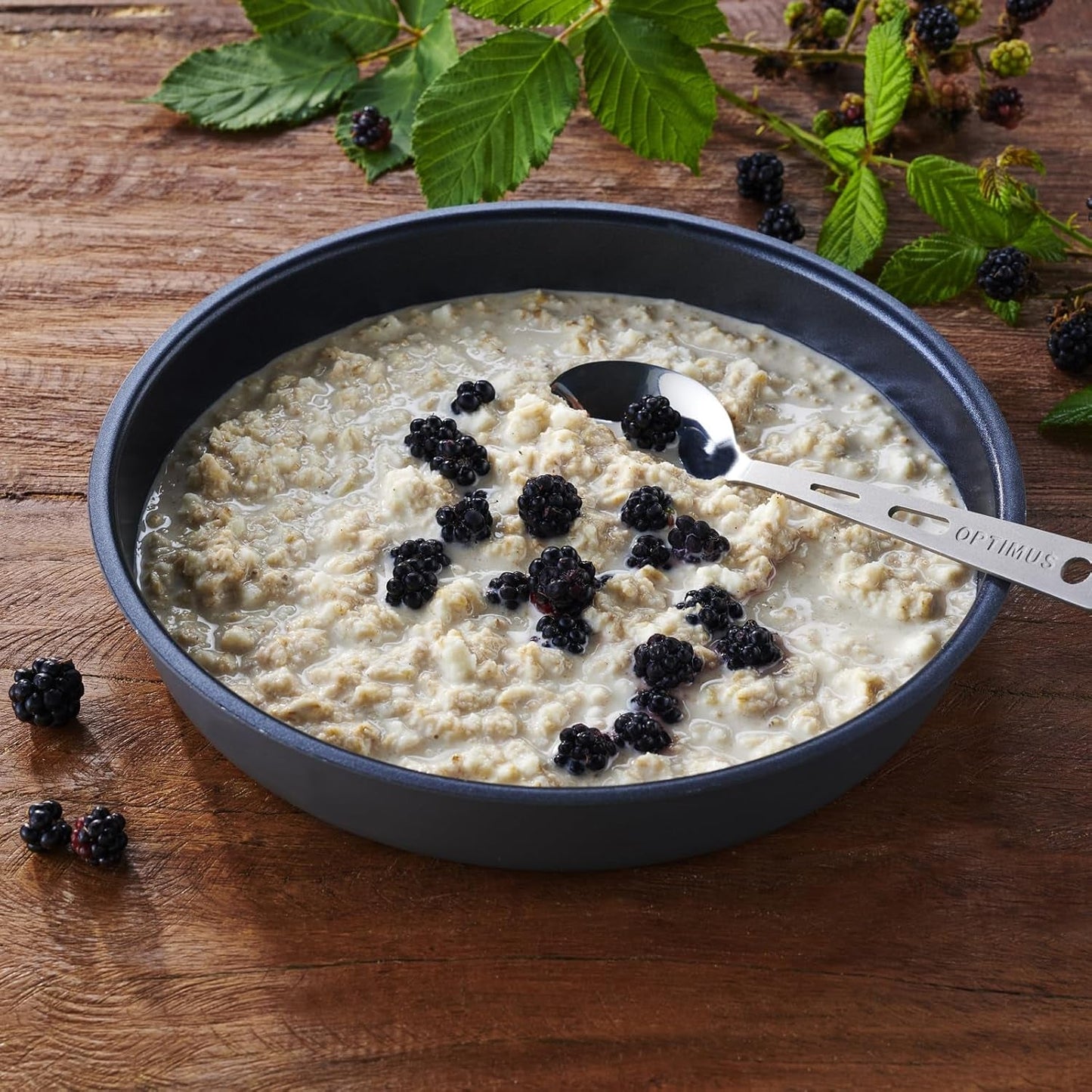 Trek'n Eat Protein Porridge – Petit-déjeuner riche en protéines pour l'extérieur | Table lyophilisée pour le camping, la randonnée et les expéditions | Garnissant, rapide à préparer, idéal pour voyager