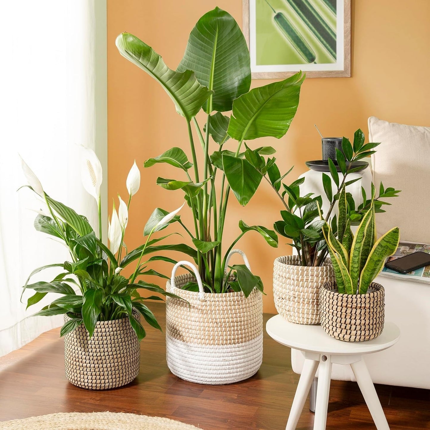 Scheurich Seagrass 17, pot panier/pot panier jonc de mer, couleur : blanc, diamètre 17 cm, hauteur 16 cm, volume 3,5 l.