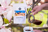 Filtre de floraison printanière | 250 g de céréales complètes | équitable et durable | fraîchement frit | café en grains 100% Arabica | café spécial | 19 grammes de café torréfacteur…
