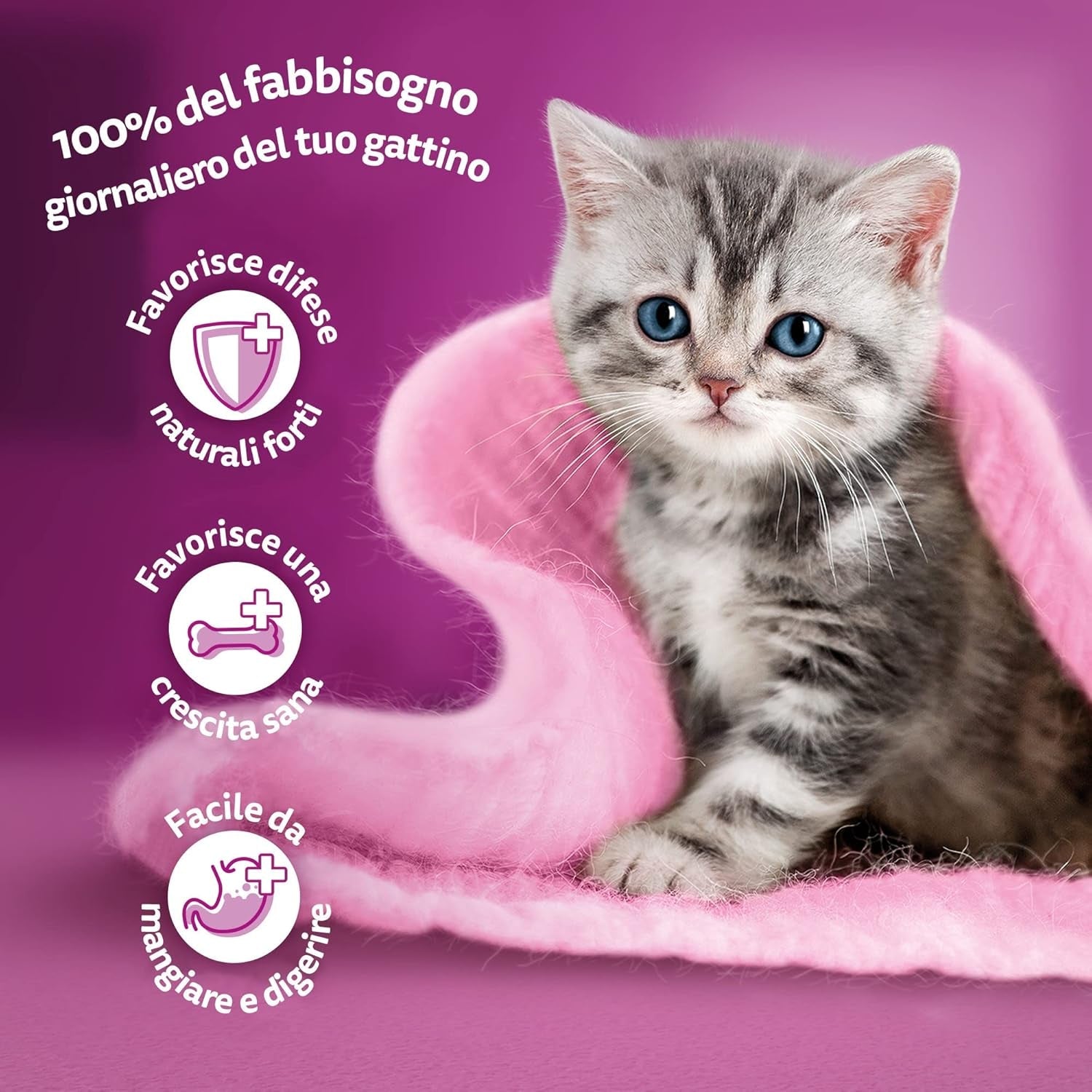 Whiskas Junior Classic nourriture humide pour chat, 13 x 4 x 85 g