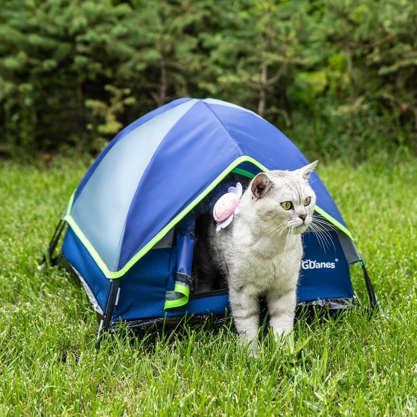 Couvertures et meubles, Animaux, Grottes et maisons, Chats, Lits pour chats, Chats - lits, matelas