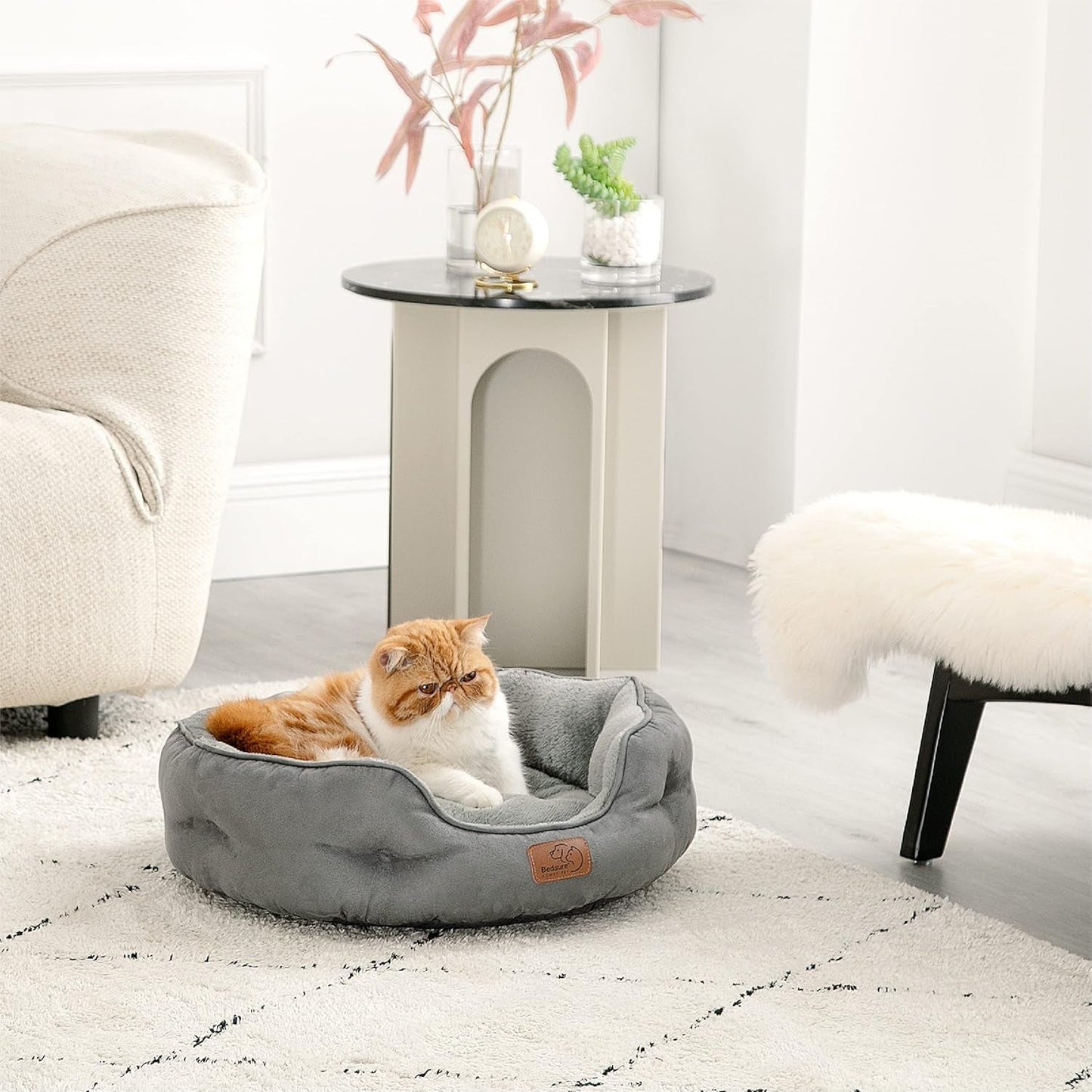 Lits et Canapés, Couvertures et Meubles, Animaux, Chats, Lits pour chats, Chats - lits, matelas