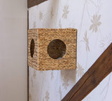 Couvertures et meubles, Animaux, Grottes et maisons, Chats, Lits pour chats, Chats - lits, matelas