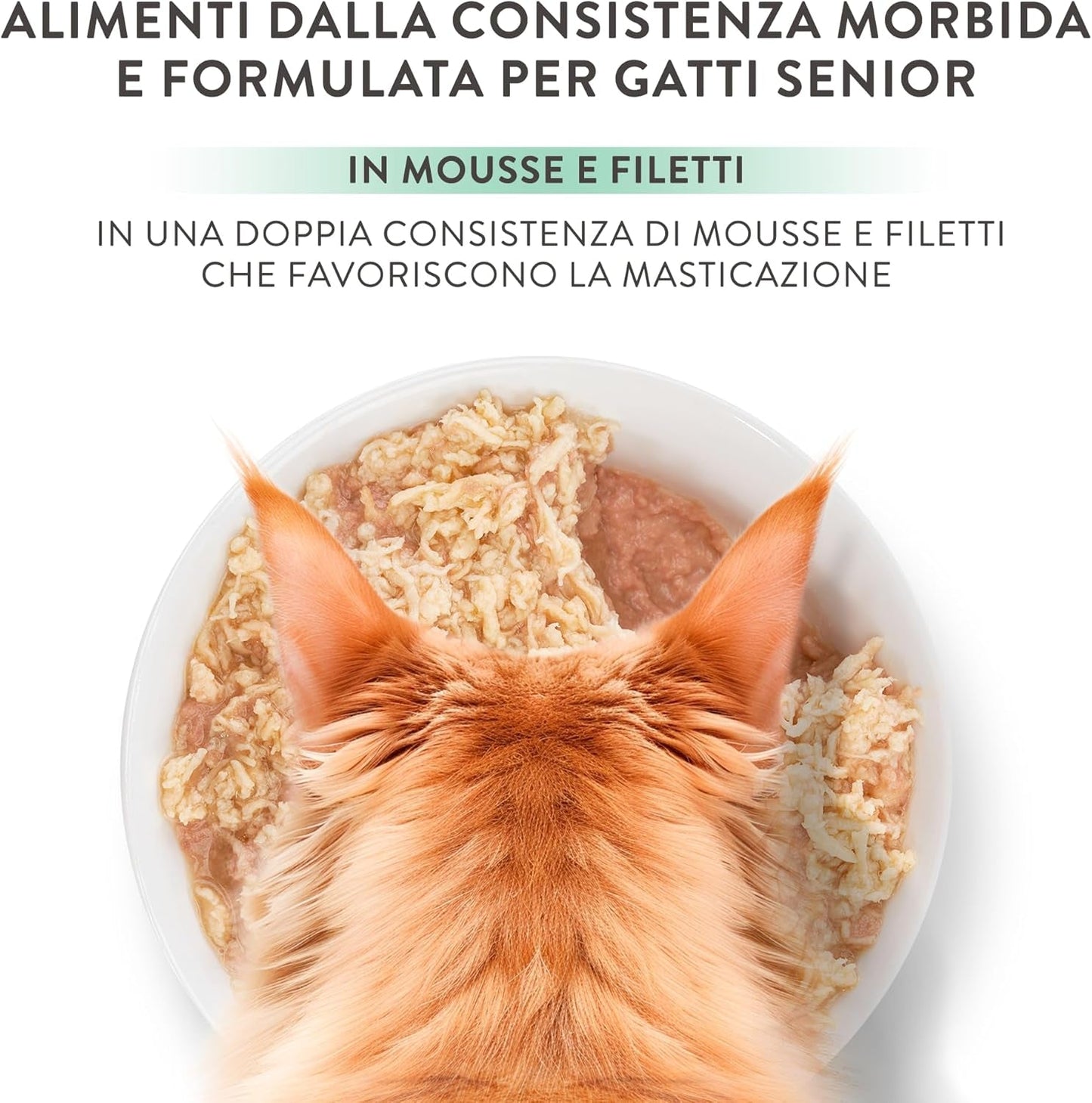 Silver Poulet avec Mousse et Filets de Canard, Aliment humide complet pour chats seniors, Sans céréales, Soutien immunitaire, Source d'humidité, 12 x 70 g