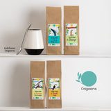 ORIGEENS COFFRET THÉ BIO MATE X4 I Yerba Mate Bio 4X80G I Coffret thé Yerba Mate, idée cadeau