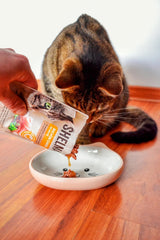 Shelma Nourriture humide pour chat au poulet dans une sauce tomate et herbes – Aliment complet sans céréales à haute teneur en viande – 28 x 85 g (2,38 kg)