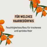Guhl Shampoing Frais & Fruité - Contenu : 250 Ml - Type de cheveux : Normaux Douche et bain Guhl