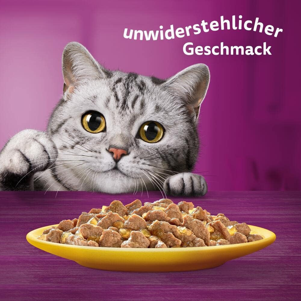 Whiskas 1+ nourriture humide pour chats au poulet en gelée, 28x85g (1 paquet) - Nourriture humide de haute qualité pour chats adultes en sachets de 28 portions
