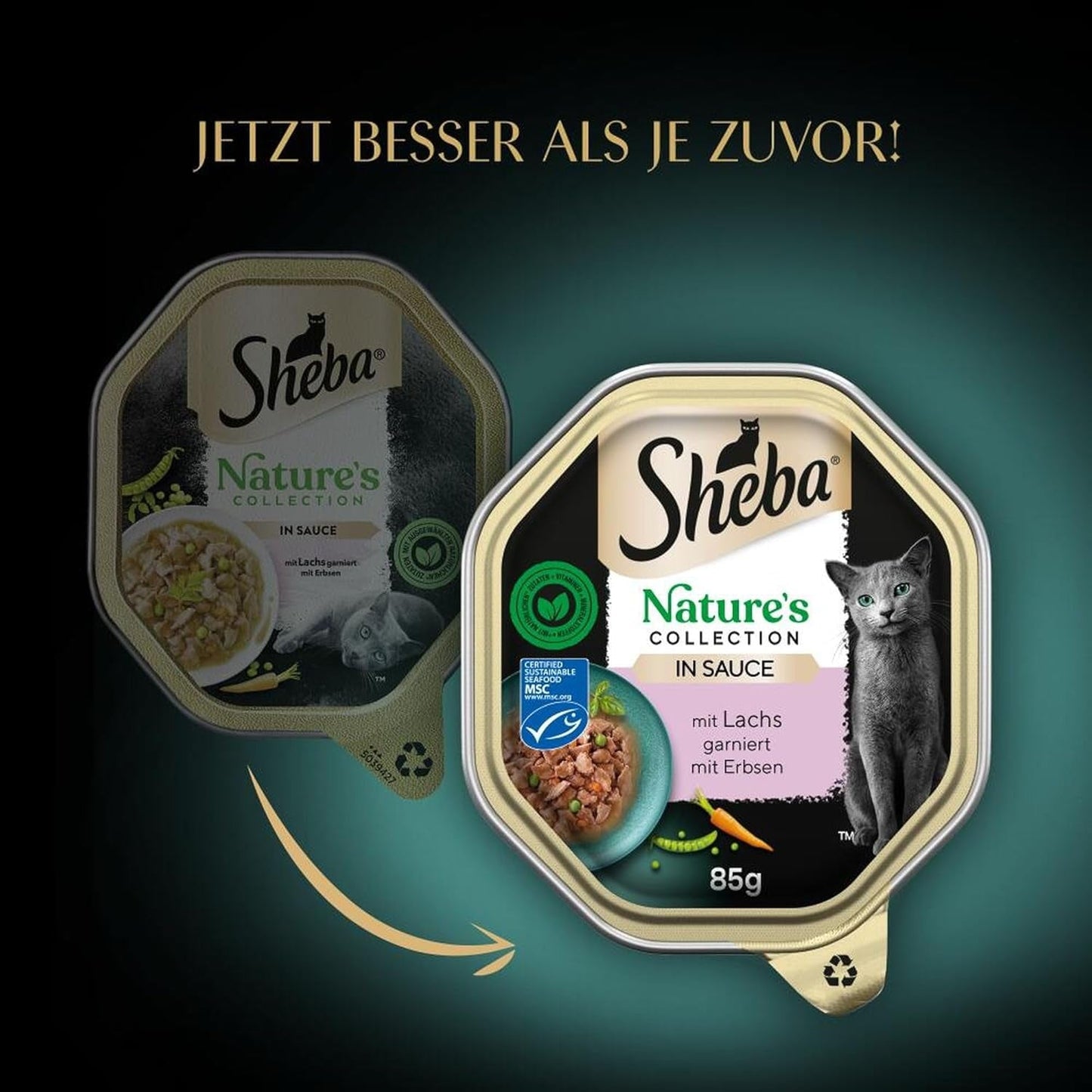 SHEBA Nourriture humide pour chats, Collection Nature's en sauce au saumon, 2 x 11 x 85 g