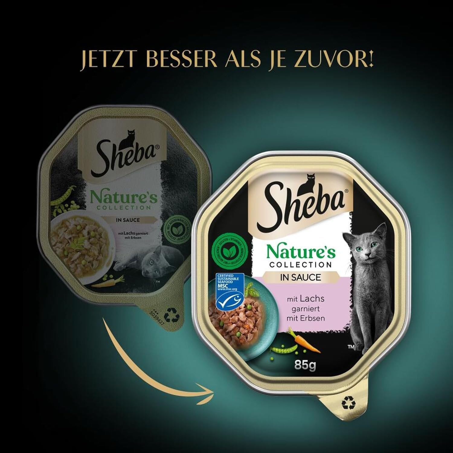 SHEBA Nourriture humide pour chats, Collection Nature's en sauce au saumon, 2 x 11 x 85 g