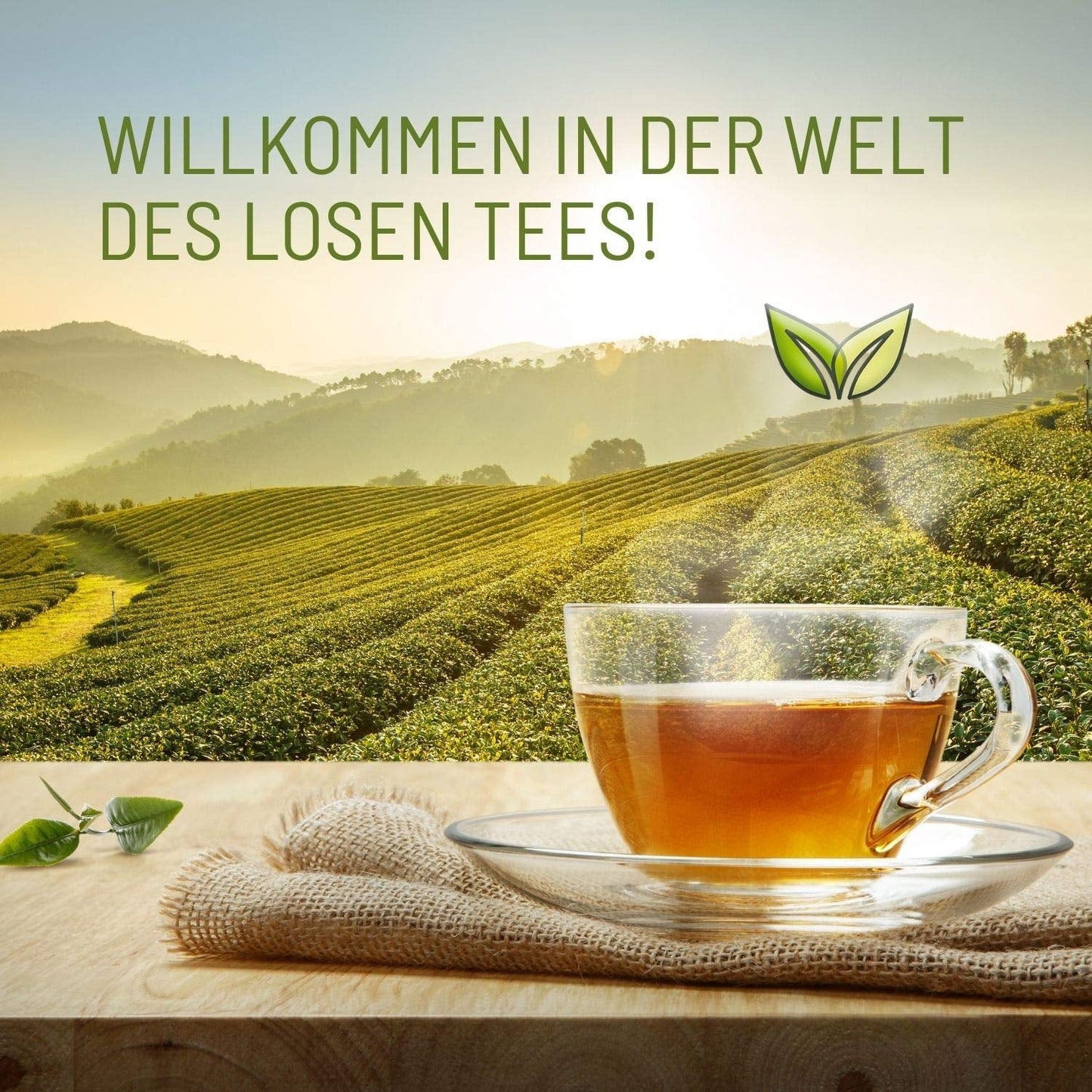 Teeverliebt Tisane de montagne, tisane en vrac aux feuilles de mûre, mélange de thé biologique, 1 kg