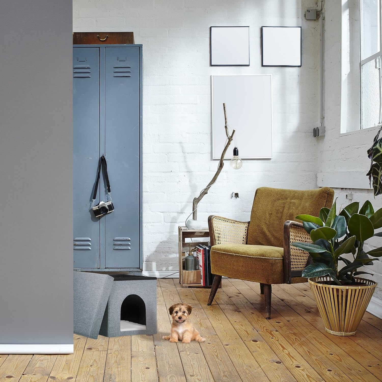 Couvertures et meubles, Animaux, Grottes et maisons, Chats, Lits pour chats, Chats - lits, matelas