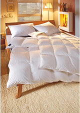 Oreiller Billerbeck E04 Gold Edition 15 avec soutien ferme - 80 x 80 cm - Oreiller en duvet adapté aux allergies avec housse souple Naty Shop Oreillers standards