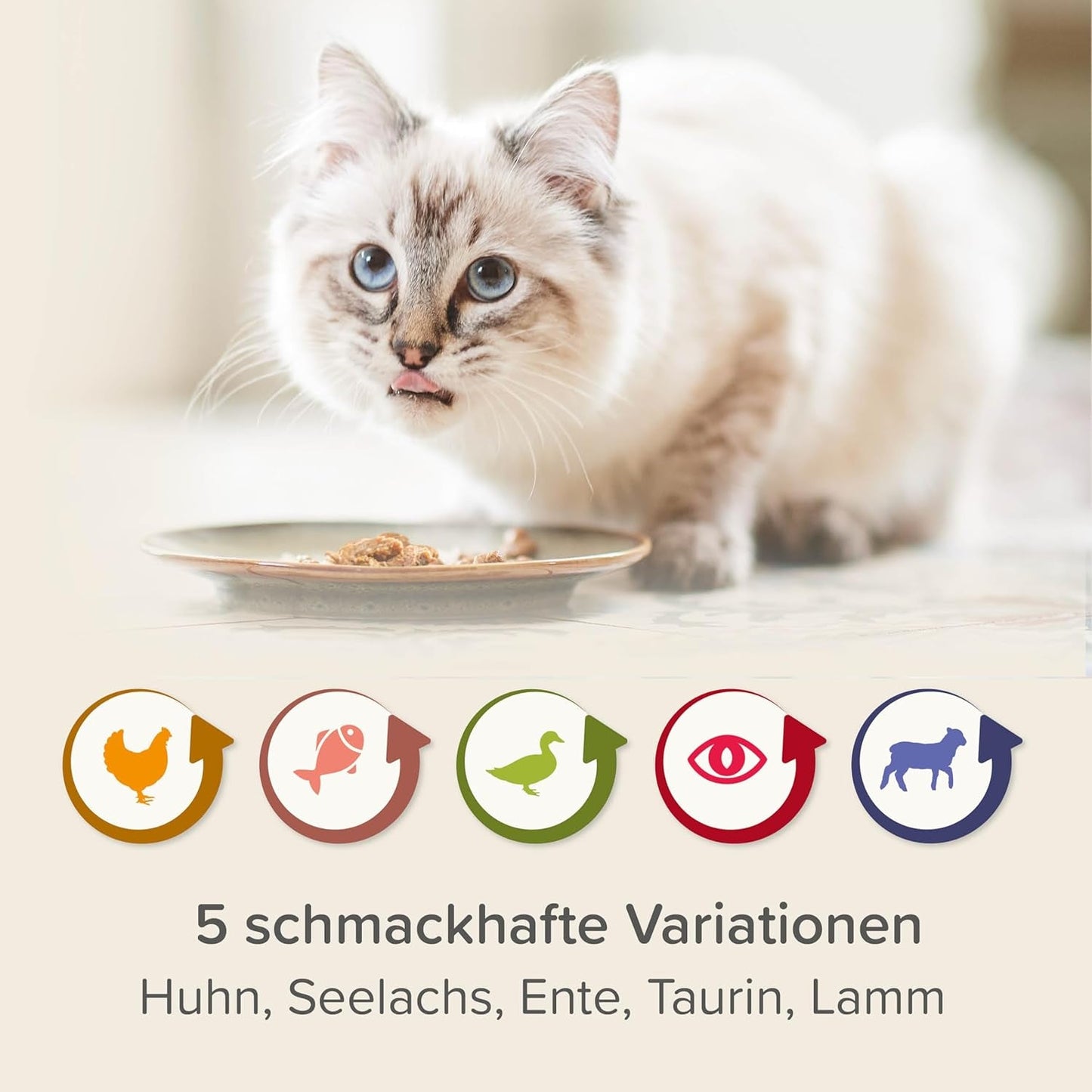 BEAPHAR – Renal Diet Mixed Package – Aliment complet pour chats souffrant d'insuffisance rénale chronique – Pour soutenir la fonction rénale – 6 x 100 g