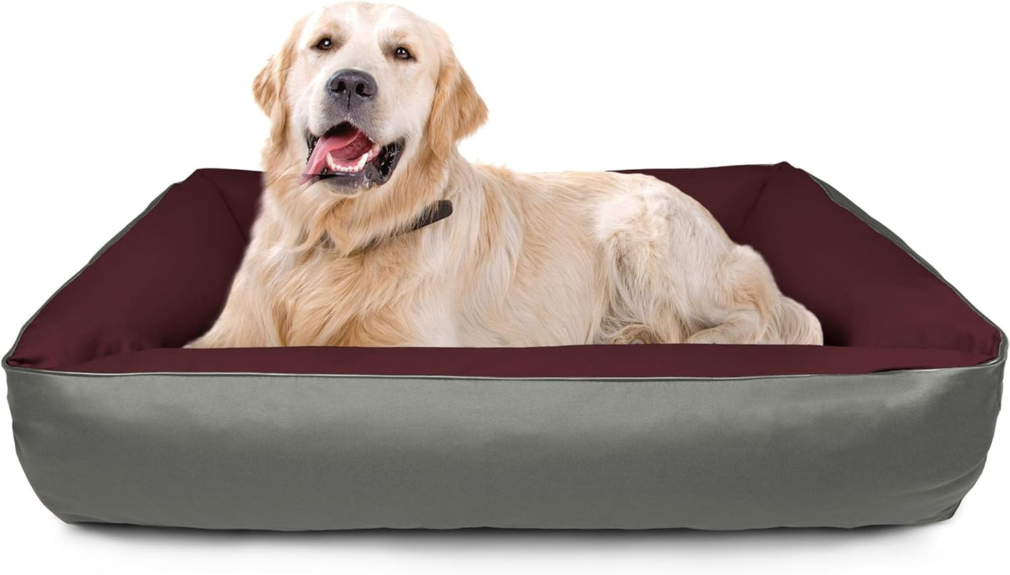 Lits, animaux domestiques, chiens, lieux de couchage et meubles